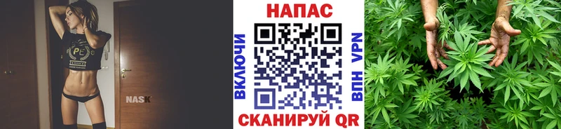 Шишки марихуана планчик  MEGA онион  Липецк 